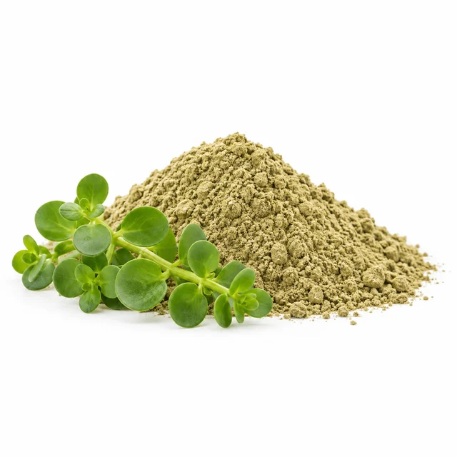 B-LIT® Bacopa (Brahmi) Extract